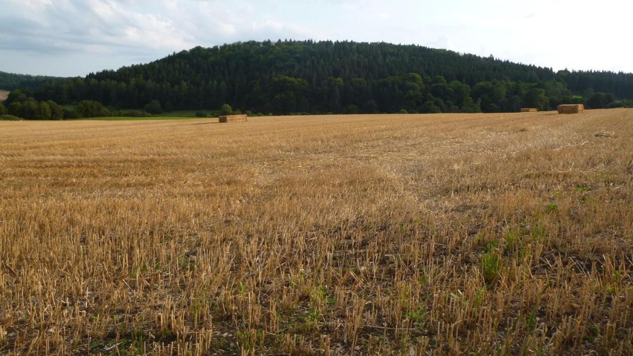Ferienhaus Unteres Hart Gomadingen Εξωτερικό φωτογραφία